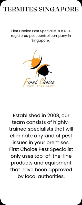 Termites Singapore