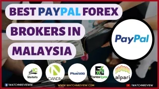 Best Paypal Forex Brokers In Malaysia