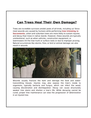 Can Trees Heal Their Own Damage?
