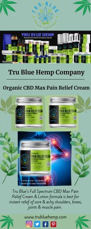 Organic CBD Max Pain Relief Cream - Tru Blue Hemp Company