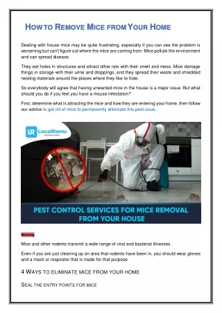 How to Remove Mice from Your Home