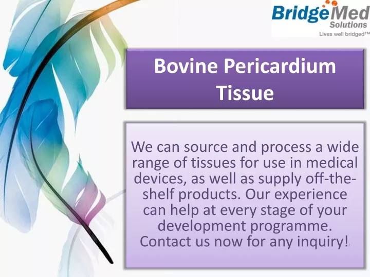 bovine pericardium tissue