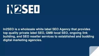 White Label SEO Company - In2SEO