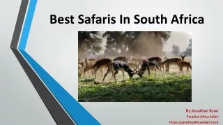 Best Safaris In South Africa