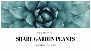 Review Plants For The Shade Garden