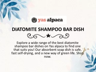 DIATOMITE SHAMPOO BAR DISH