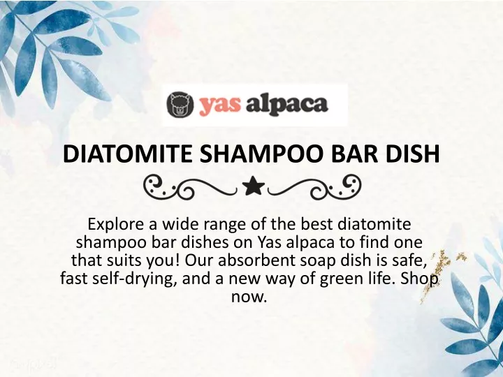 diatomite shampoo bar dish