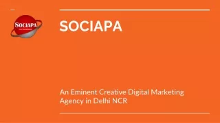 SOCIAPA_ Digital Marketing Agency in Delhi NCR