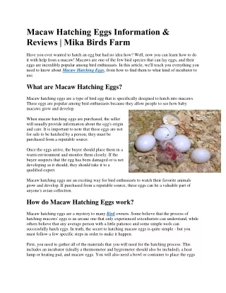 Macaw Hatching Eggs Information & Reviews | Mika Birds Farm