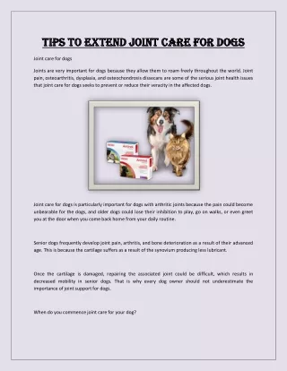 Tips to Extend Joint Care for Dogs