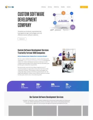 Enterprise Software Development Services Company