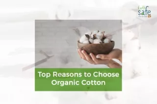 Top Reasons to Choose Organic Cotton