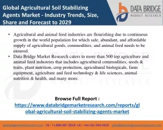 global agricultural soil stabilizing agents