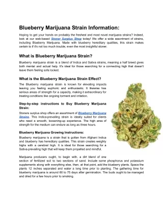 Blueberry Marijuana Strain information |Stoners Surplus Shop