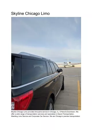 skyline chicago limo