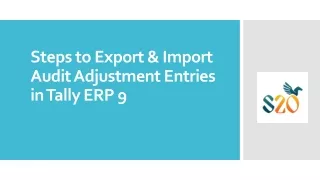 steps to export import audit adjustment entries in tally erp 9