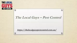 Mice Pest Control Perth | Thelocalguyspestcontrol.com.au