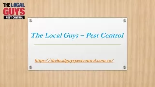 Termite Removal Perth | Thelocalguyspestcontrol.com.au