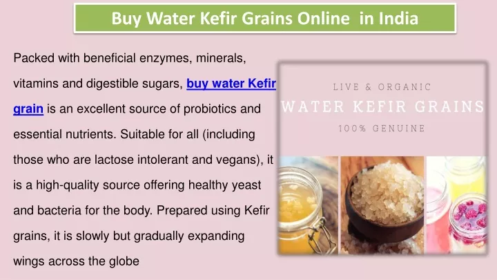 buy water kefir grains online in india