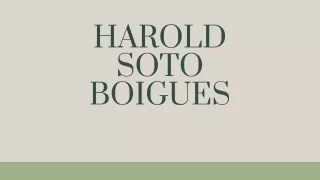 Harold Soto– An Idealistic Entrepreneur With Extraordinary Skills