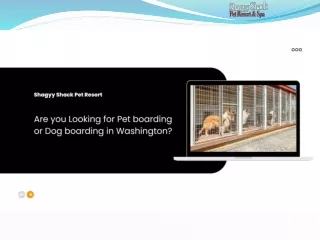 Are you Looking for Pet boarding or Dog boarding in Washington?