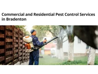 Pest Control Services in Sarasota