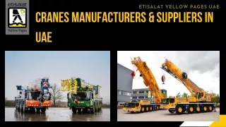 Cranes Manufacturers & Suppliers in UAE