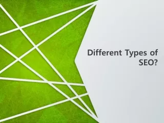 Different Types of SEO