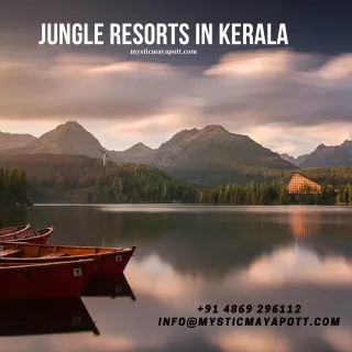 Jungle Resorts In Kerala
