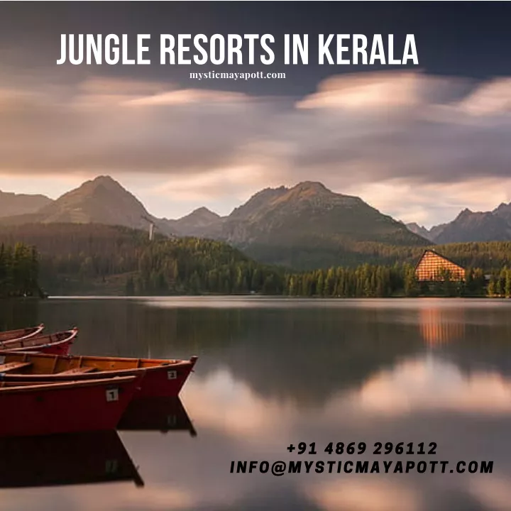 jungle resorts in kerala mysticmayapott com