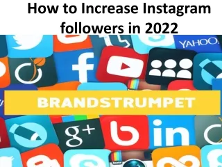 How to Increase Instagram followers in 2022