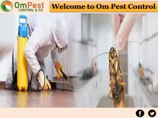 Hire Best Pest Control Services Bhubaneswar