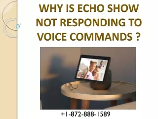Why my Echo Show Not Responding ? Fix It