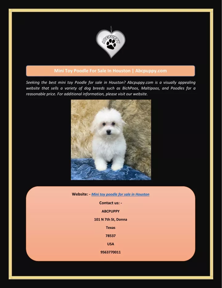 mini toy poodle for sale in houston abcpuppy com