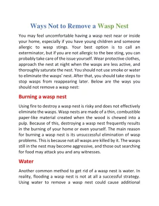 ways not to remove a wasp nest