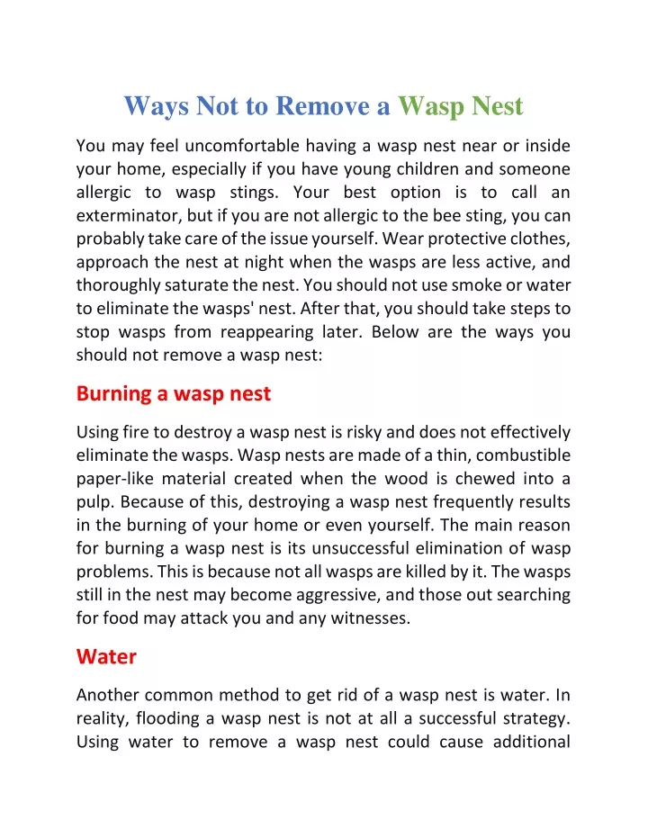 ways not to remove a wasp nest