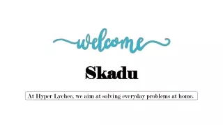 Skadu - Your Shortcut to A Hyper Clean Home