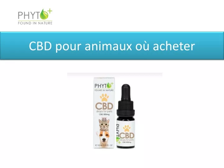 cbd pour animaux o acheter