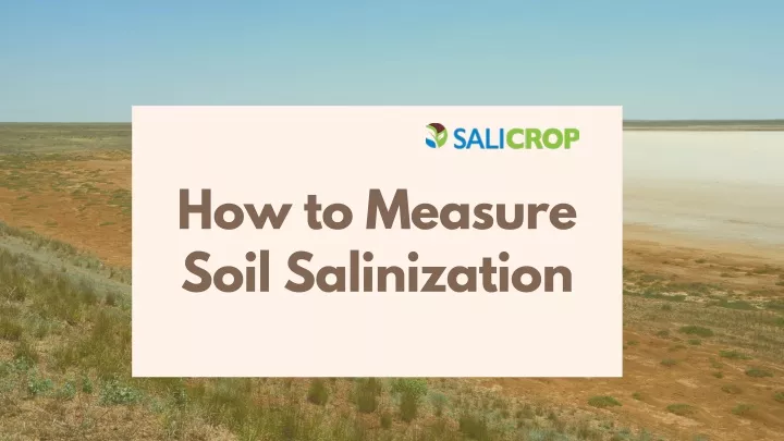 how to measure soil salinization