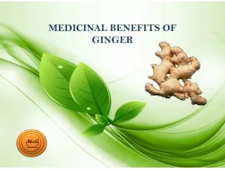 medicinal benifits of ginger
