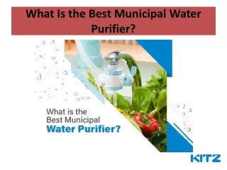 What Is the Best Municipal Water Purifier