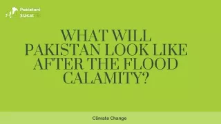 What Will Pakistan Look Like After The Flood Calamity