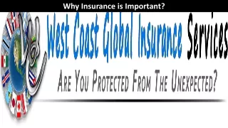 why insurance is important