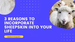 3 REASONS TO INCORPORATE SHEEPSKIN INTO YOUR LIFE