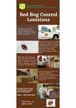 Bed Bug Control Louisiana