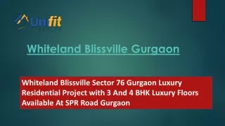 whiteland Blissville Gurgaon