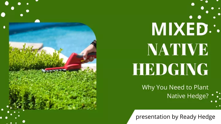 mixed native hedging why you need to plant native