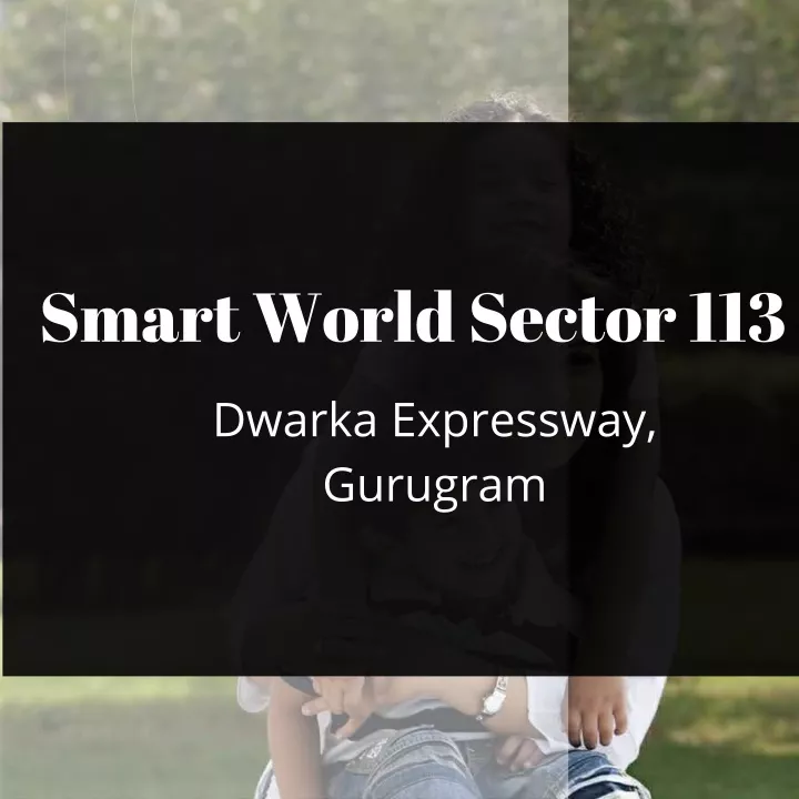 smart world sector 113