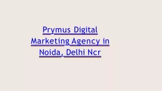 prymus digital marketing agency in noida delhi ncr