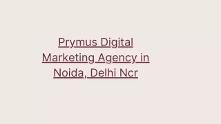 prymus digital marketing agency in noida delhi ncr